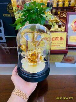 HOA KIM TIỀN VÀNG 24K