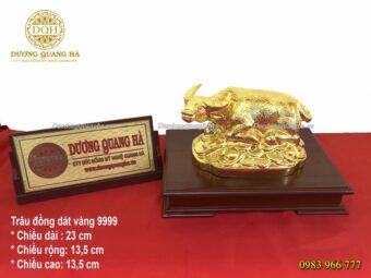TƯỢNG TRÂU NẰM TRÊN TIỀN MẠ VÀNG 24K