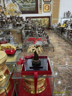 CÂY KIM TIỀN VÀNG 24K