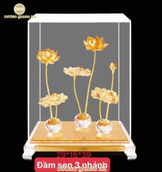 Chậu Sen 3 Nhánh Mạ Vàng
