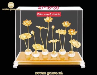 Đầm Sen 6 Nhánh Mạ Vàng