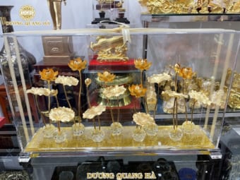 Đầm sen 9 cánh mạ vàng