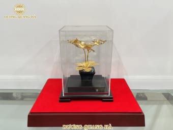 Chậu Lan để bàn mạ vàng cao cấp