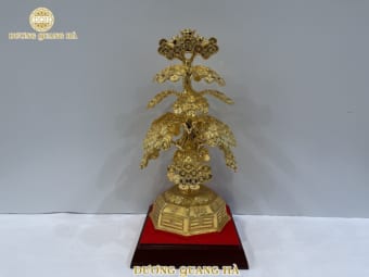 Cây Tiền tài lộc mạ vàng