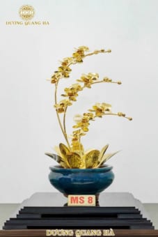 Chậu Lan 3 Cành Mạ Vàng 24k