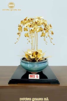 Chậu Lan 5 Cành Mạ Vàng 24k