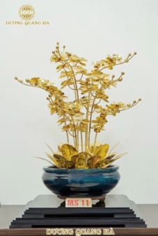 Chậu Lan 9 Cành Mạ Vàng